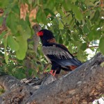 IMG_1525_edited-1
