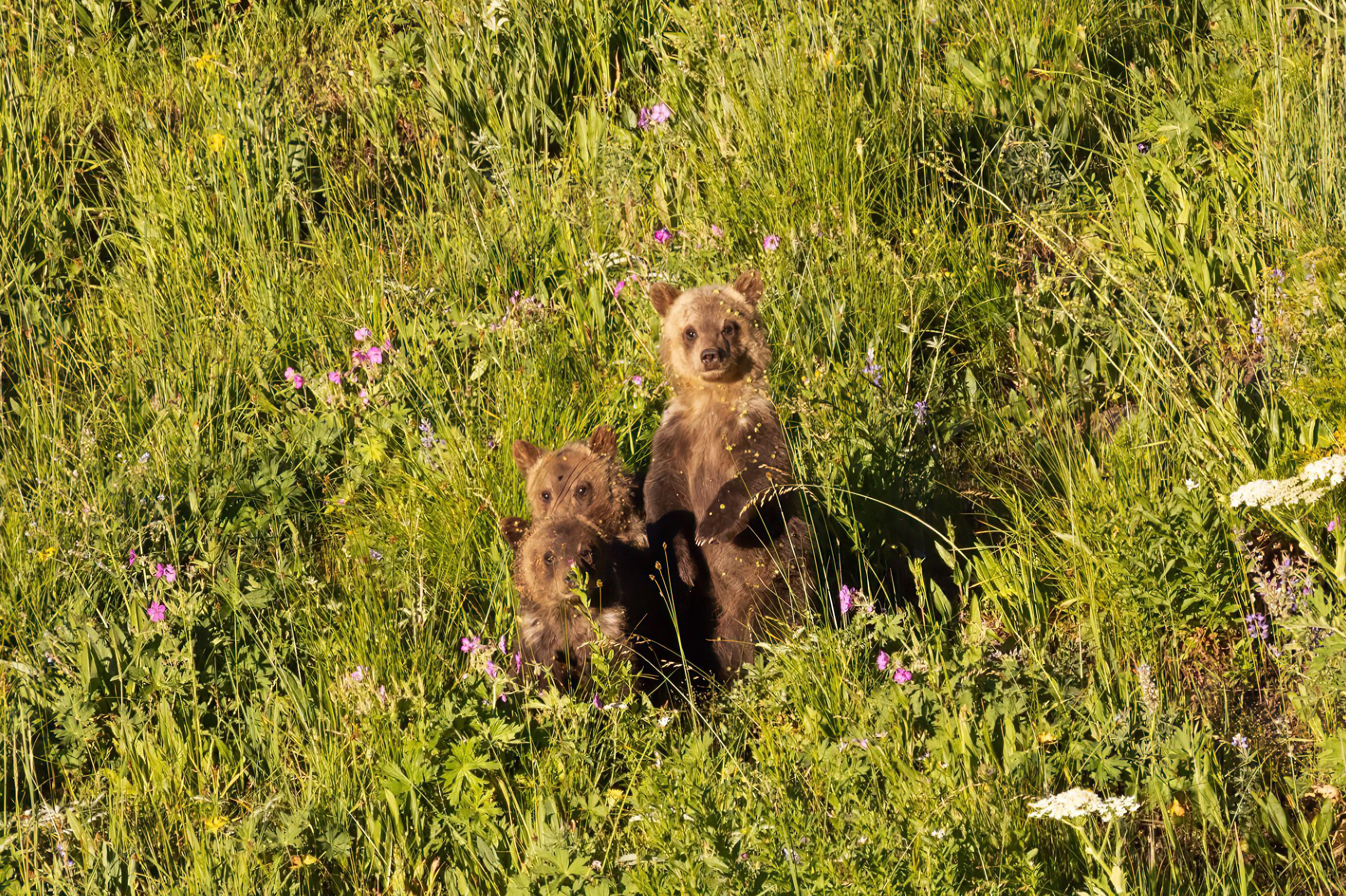 SMenlarge_E_I6A0203_copy